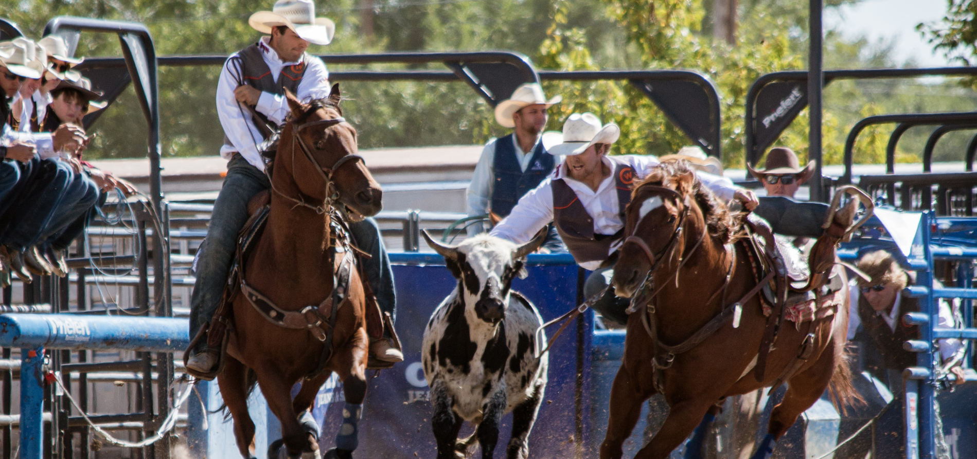 Clay Reiner ranks 20th in the Nation for Steer Wrestling after CNFR