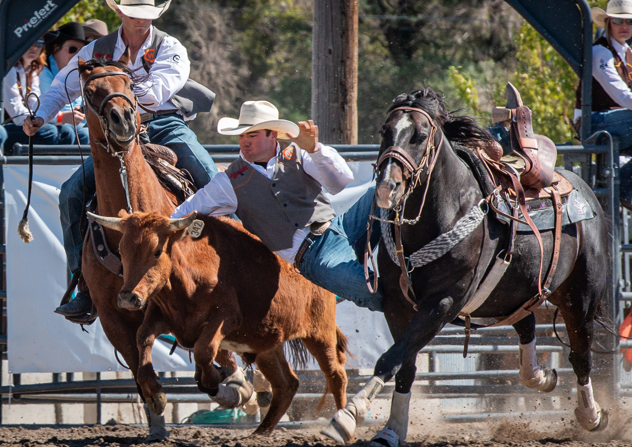 Sheridan Rodeo Provided Tough Competition for Rustlers