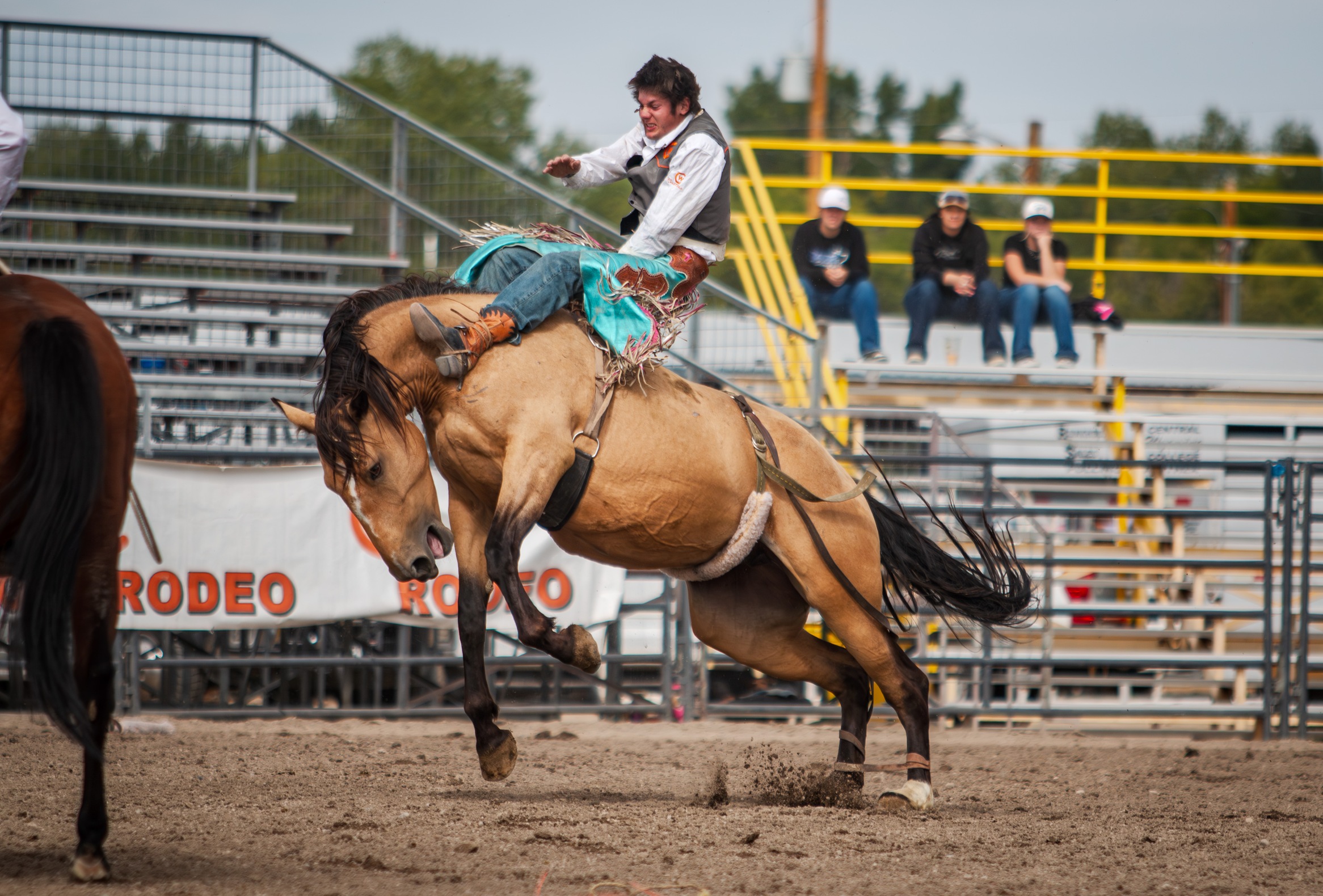 Rustlers Conclude Fall Rodeo Season with Impressive Team Performance