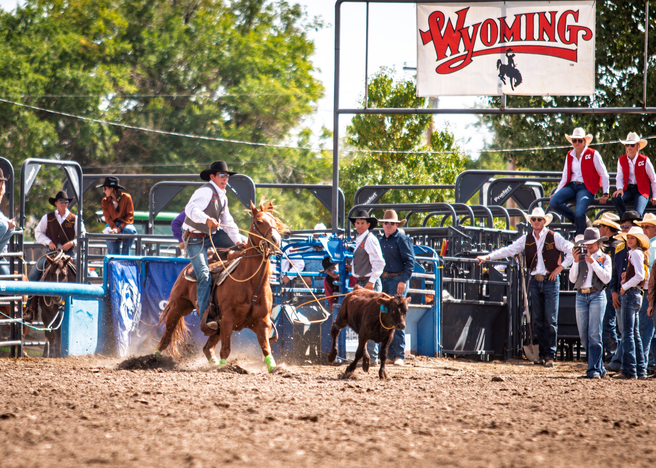Central Wyoming College Rodeo Shows Grit at Gillette College Competition