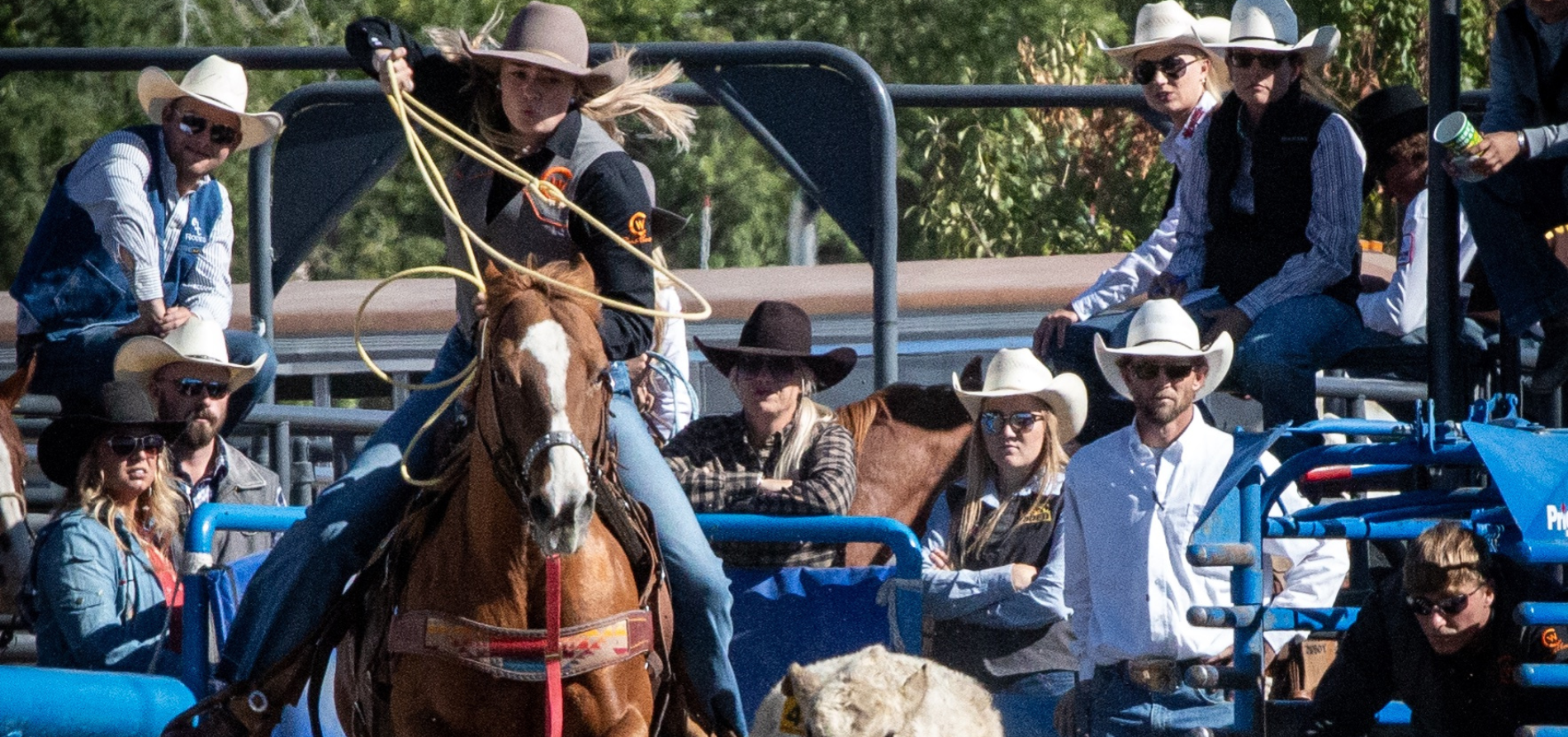 Sheridan Rodeo Results